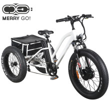 Popular 48V 500W Brushless Motor Electric Trike with Fat Tire